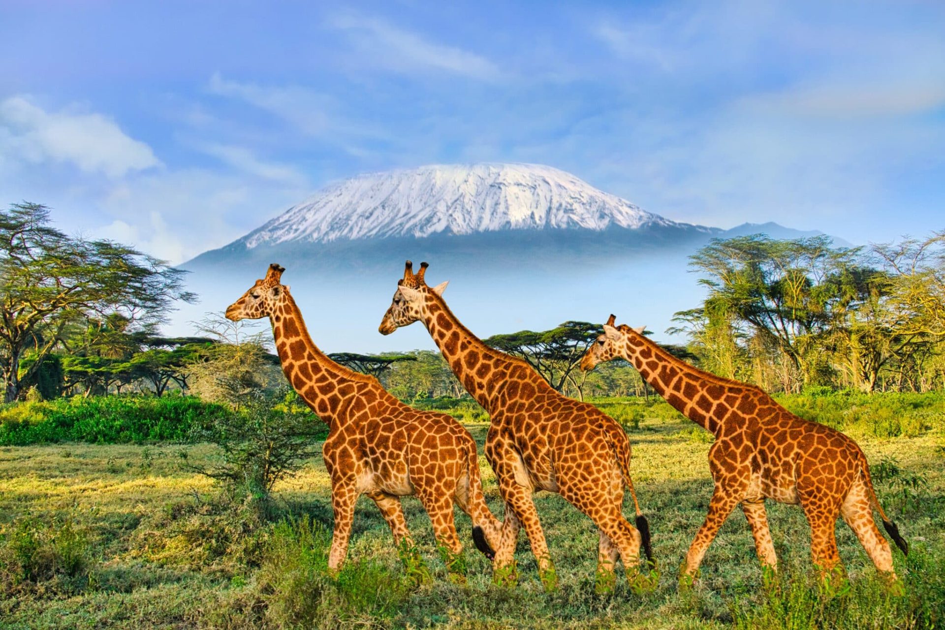 2027 The Wonders of Kenya & Tanzania