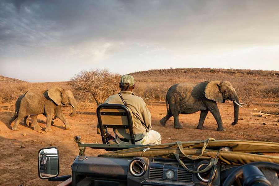 Southern Africa and Okavango Delta